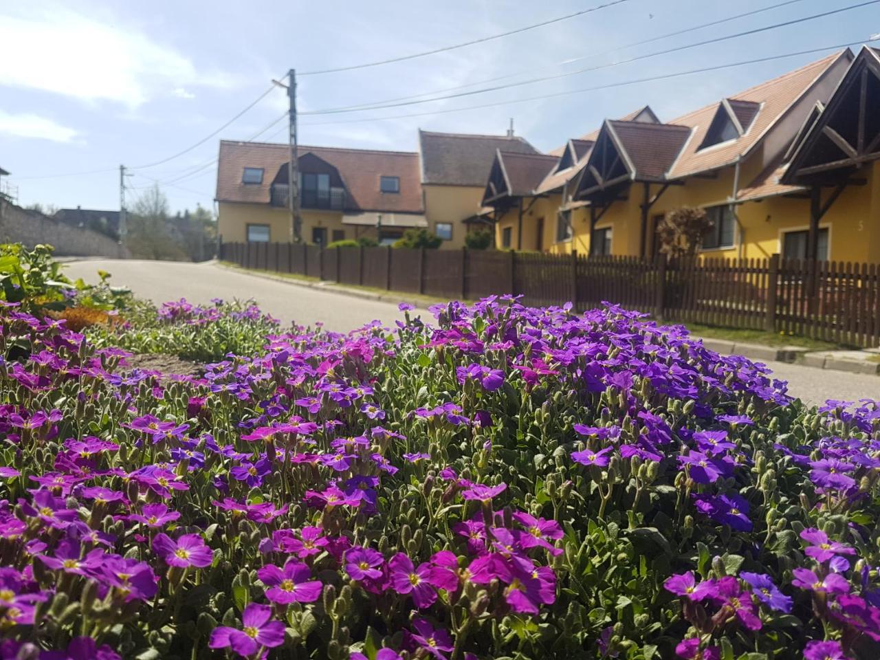 Bed & Breakfast Huber Panzio